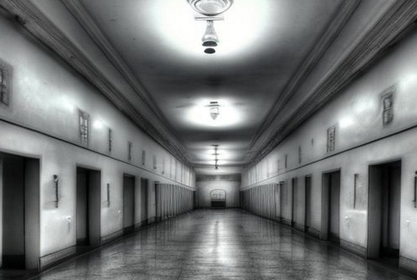 Интеллект